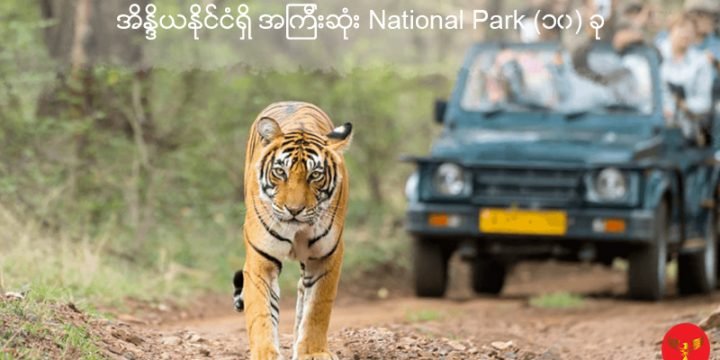 အိန္ဒိယနိုင်ငံရှိအကြီးဆုံး National Park (၁၀) ခု