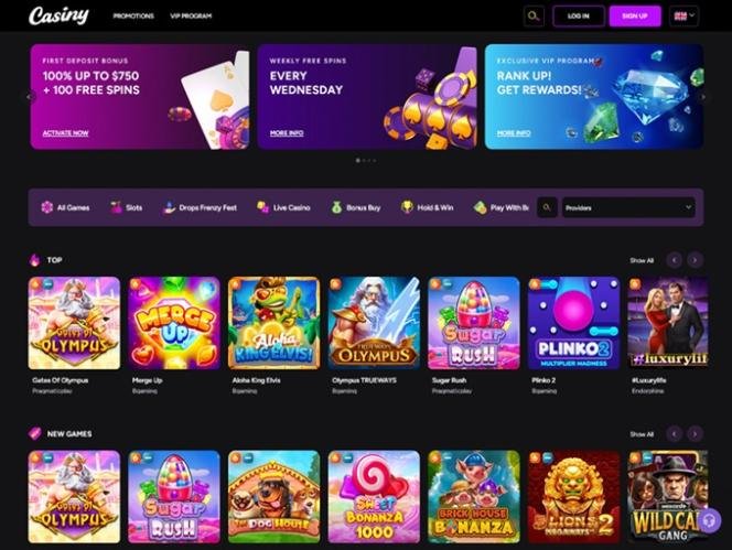 Discovering the World of Online Gaming Casiny1 Discovering the World of Online Gaming Casiny1