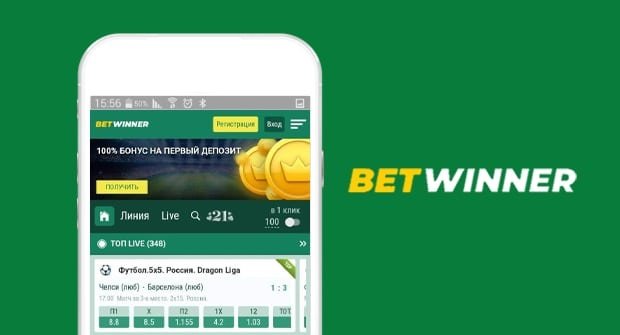 बेट विनर Understanding Modern Betting Platforms, Risks, and Responsible Play