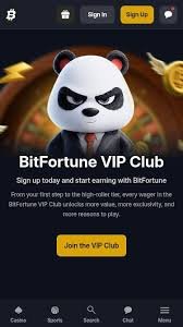 Discover the World of Anonymous Play at Bitfortune for Canada