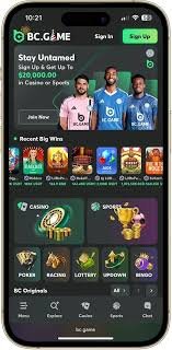 Understanding Crash BC.Game A Deep Dive into the Thrilling Game Experience