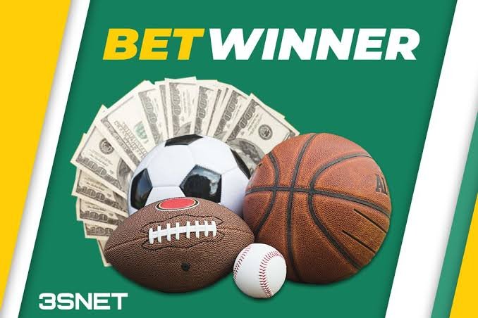 Discover the Features and Benefits of the BetWinner App Discover the Features and Benefits of the BetWinner App